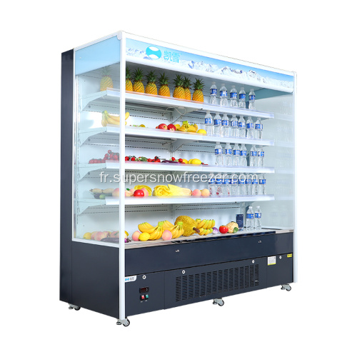 Réfrigérateur commercial réfrigérateur ouverte réfrigérateur de refroidisseur à vendre